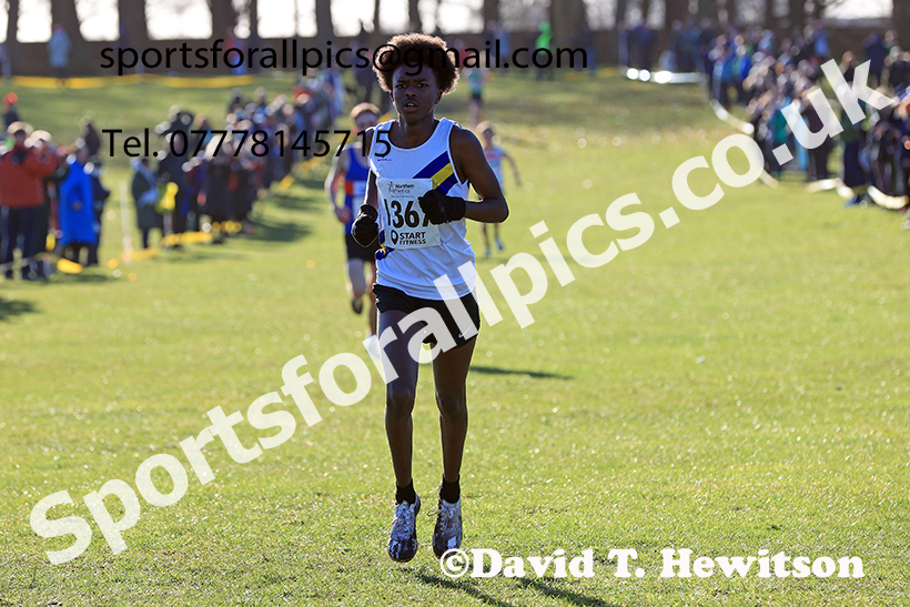 Mens under-17s 2025 Northern Cross Country Champs, Tatton Park, Knutsford, Cheshire. Photo: David T. Hewitson/Sports for All Pics